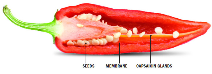 Capsaicin in Cayenne
