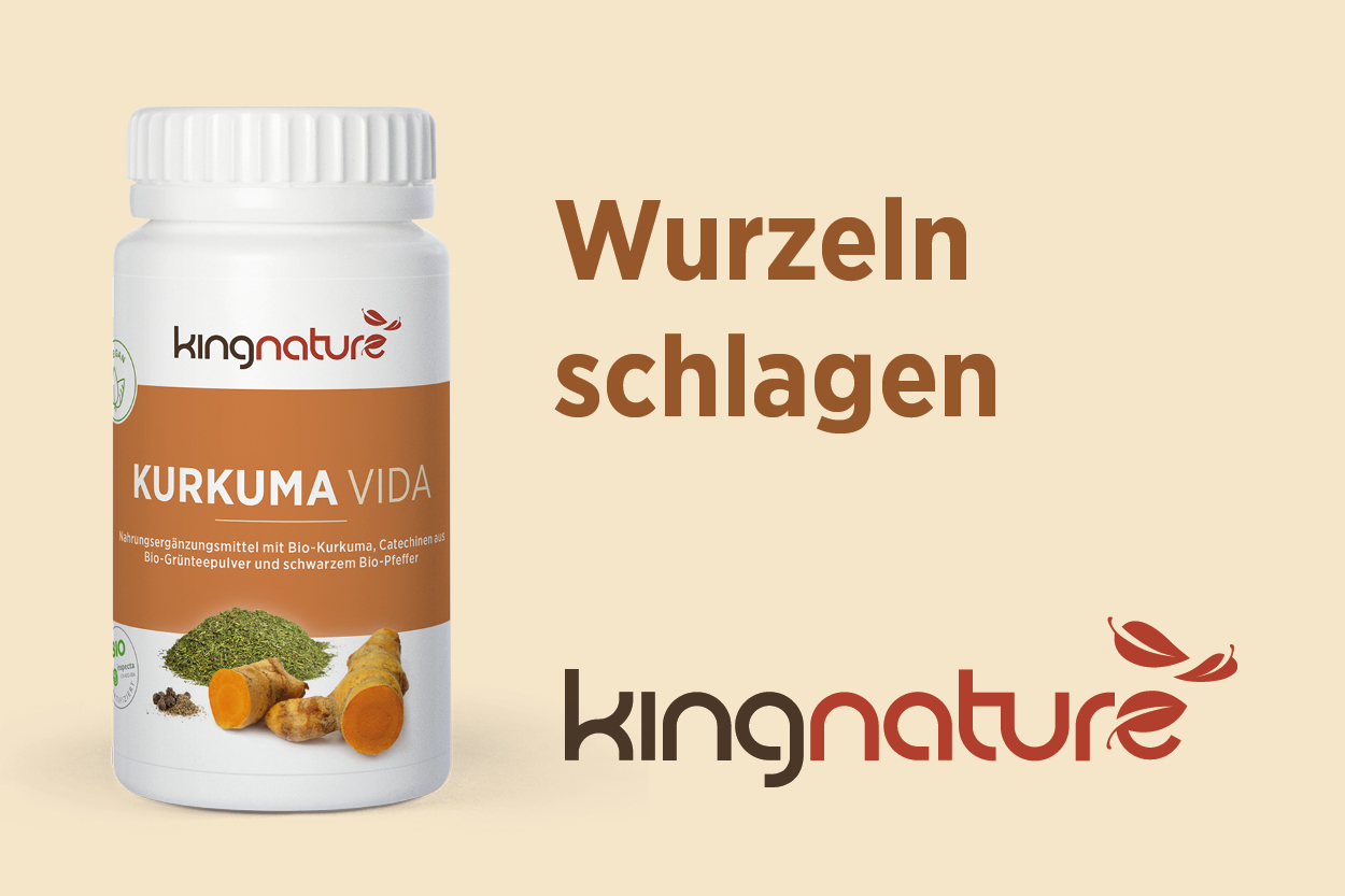 Kurkuma Kapseln kaufen Nahrungsergänzungsmittel