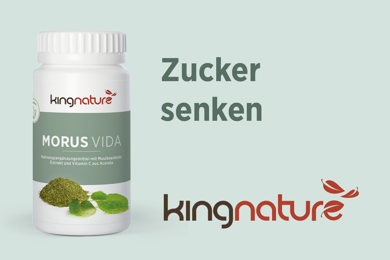 Morus, Vida, Zucker senken