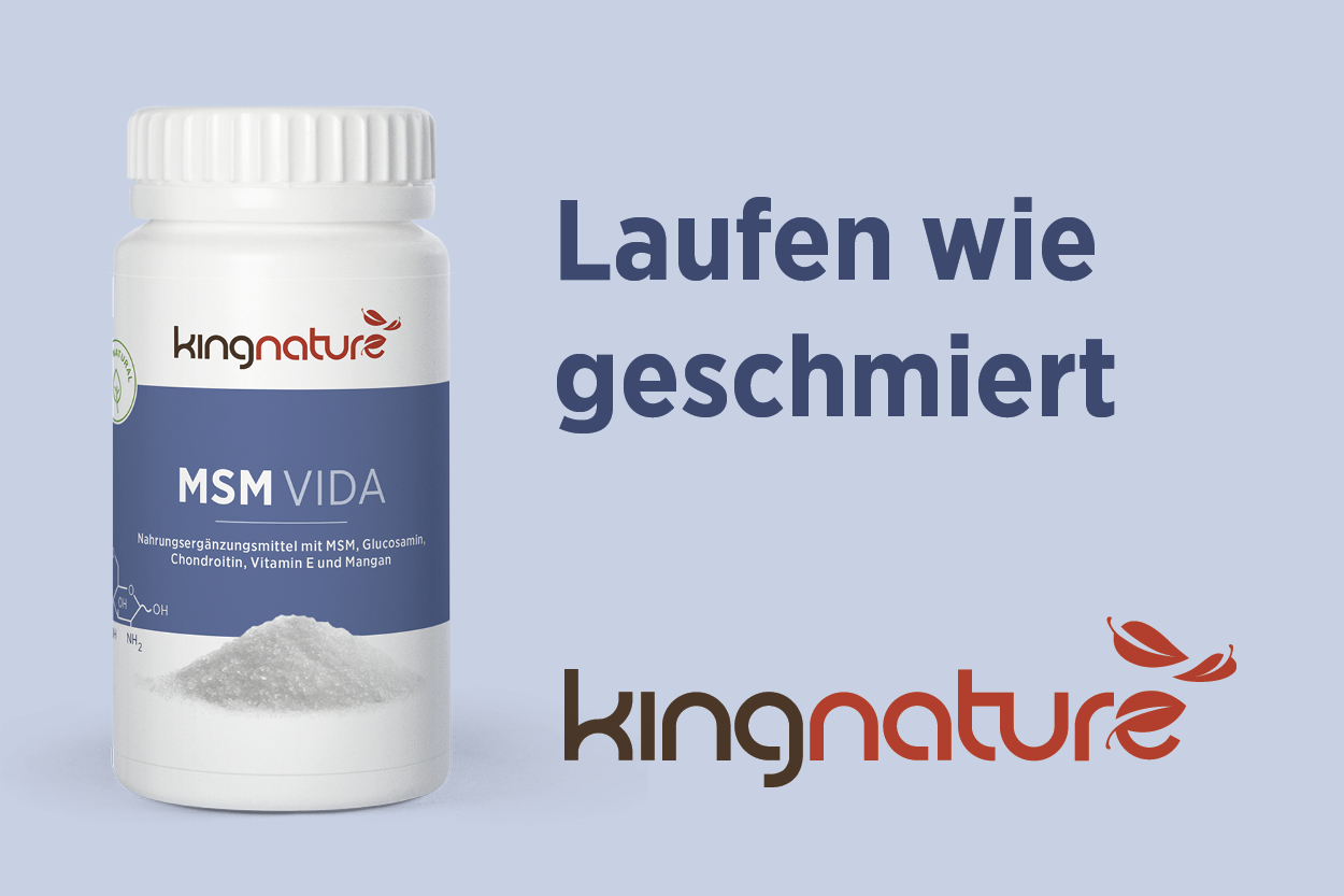 MSM Kapseln kaufen Nahrungsergänzungsmittel