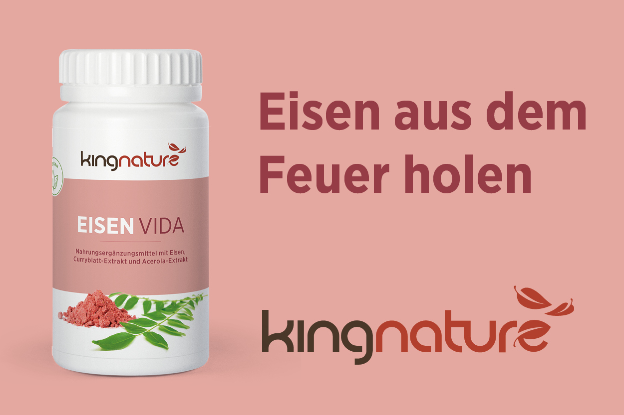 Eisen Vida Nahrungsergänzungsmittel kaufen