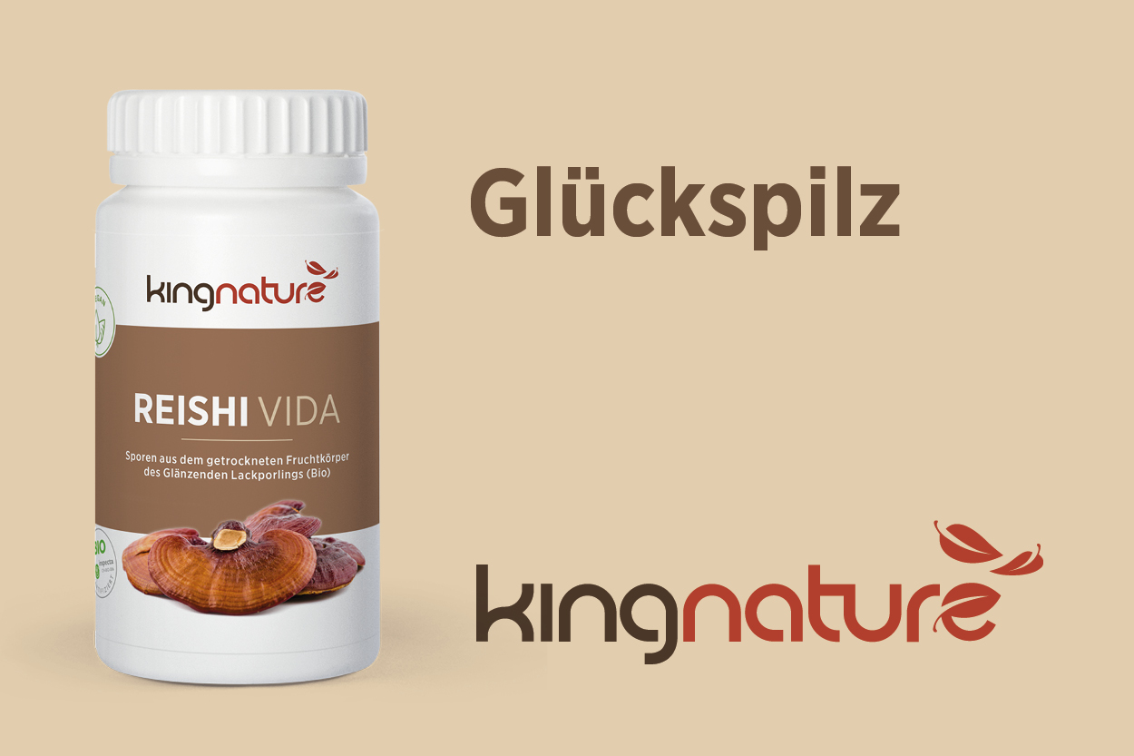 Reishi Sporen kaufen Nahrungsergänzungsmittel