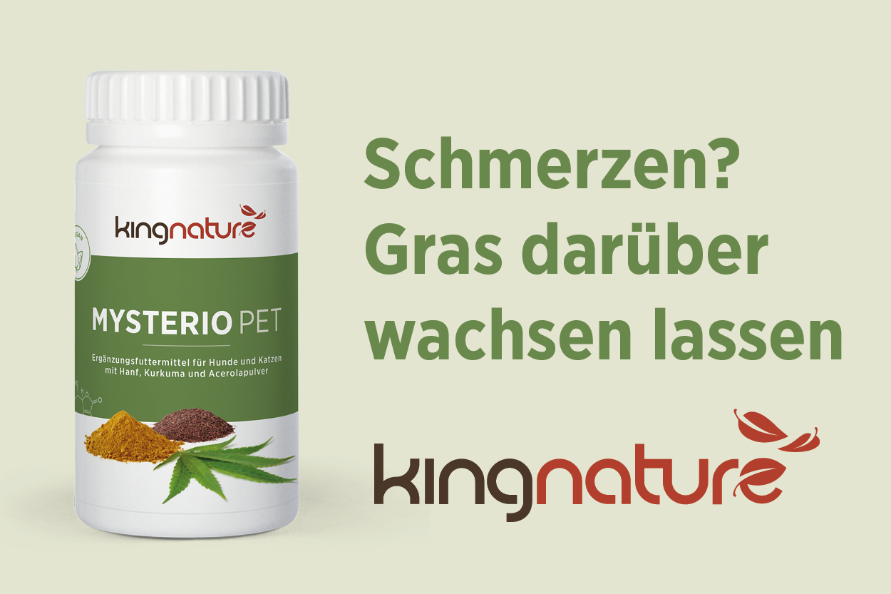 Mysterio PET Nahrungsergänzungsmittel kaufen