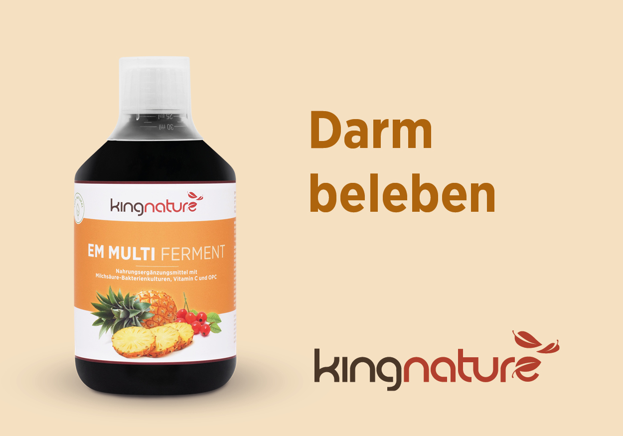 Ferment kaufen Nahrungsergänzungsmittel