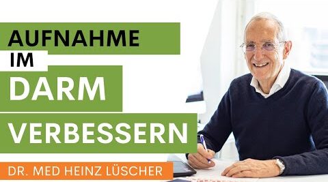 Wie verbessere ich die Aufnahme im Darm?